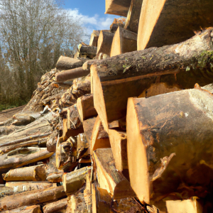Bois de chauffage à Saint-Germain-lès-Arpajon